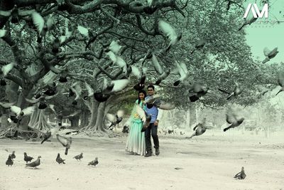 portfolio-pic