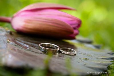 Photo of Payals All Things Nice