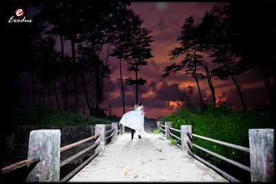 portfolio-pic