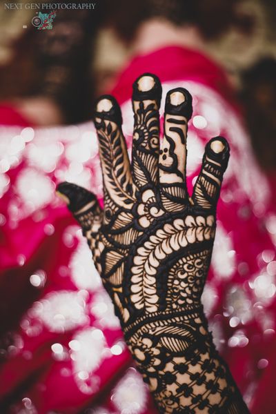 Album in City Srinagar