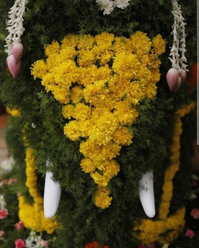 Traditional entrance decor