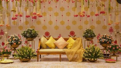 #Haldi #Pellikoturu #Pellikoduku#Home Decor