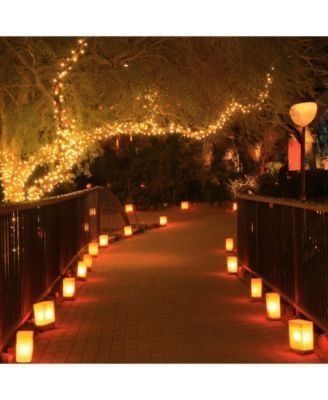 Magical Walkway, Ambience and Entry Decor