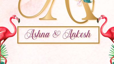 Ashna & Ankesh