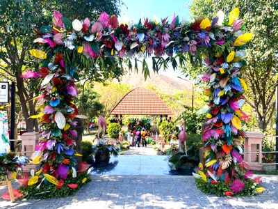 Hawaiian Carnival