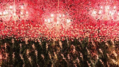 Wedding Reception