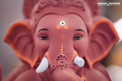 Ganpati  Bappa  Clicks