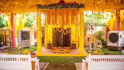 Phulo ki Holi - Haldi