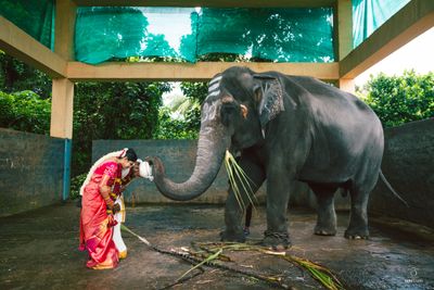 Gururaj + Meghana