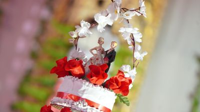 Album in City Lucknow