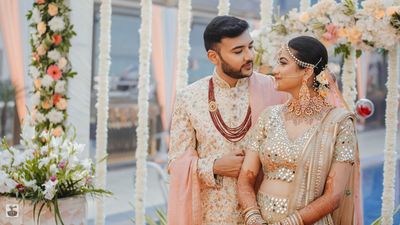 Album in City Delhi NCR