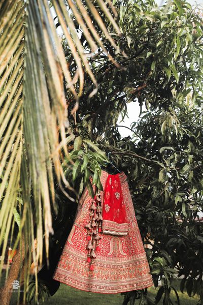 Album in City Mumbai