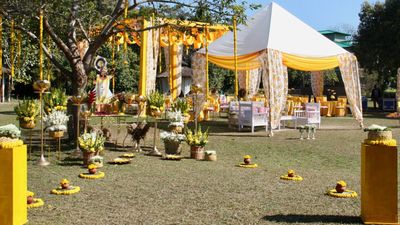 The Yellow Wedding