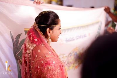 Telugu Wedding