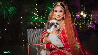 Aakriti & Shrey - Wedding