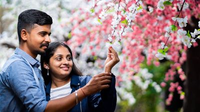 Mittal & Sid- Pre Wedding