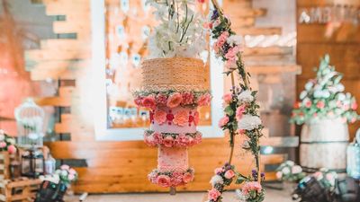 Engagement/Wedding Cakes