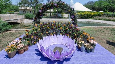Palette: Soft Lilac