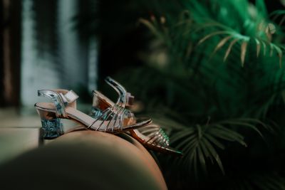 Bridal Accessories 