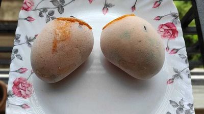 Natural Fruits Shell Ice Creams