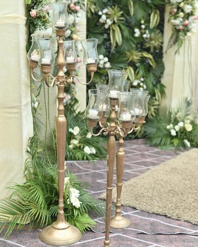 Champagne Gold Shagun