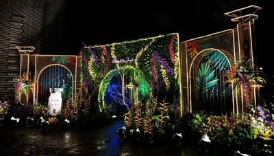 Tropical Neon Sangeet
