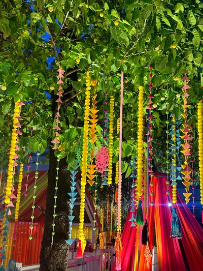 Carnival Garba Theme