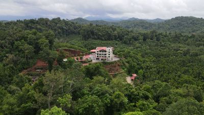 Aerial Perspective