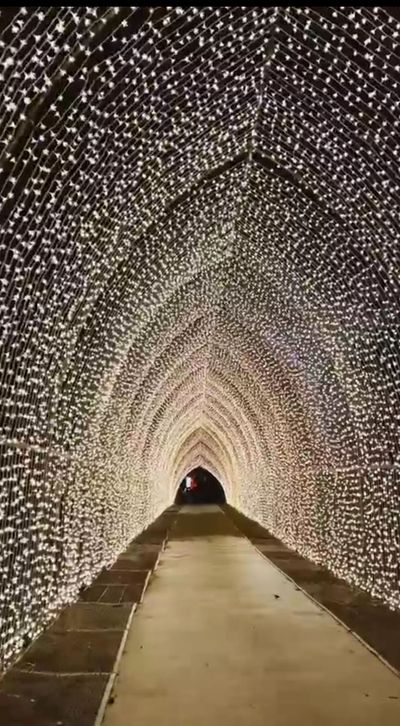 recent pictures mid budget weddings