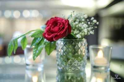 25th Anniversary at Araya Bagh