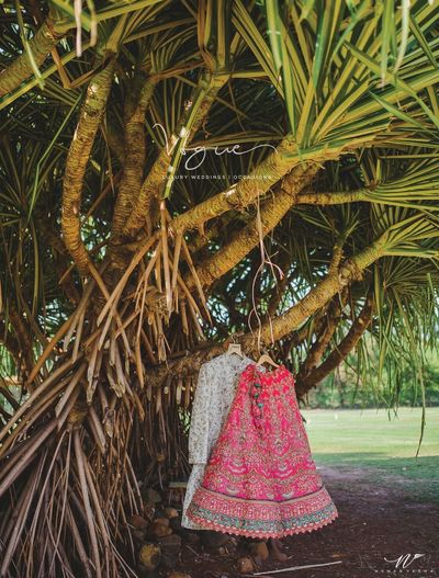 Samiksha weds Dushyant 