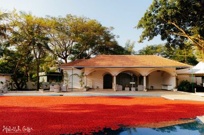 Dhananjay & Vaibhavi