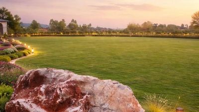 Lawn