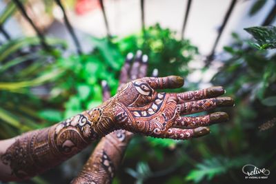 N + P | The colourful stories.