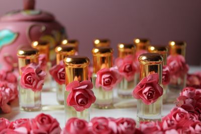 Album in City Delhi NCR