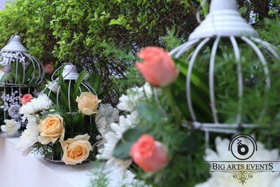 The White Elegance