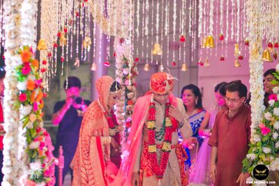 Album in City Delhi NCR