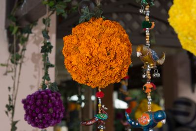 Album in City Bangalore