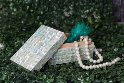 Mother of Pearls Collection