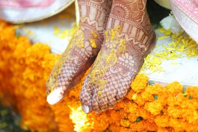 Destination wedding Udaipur