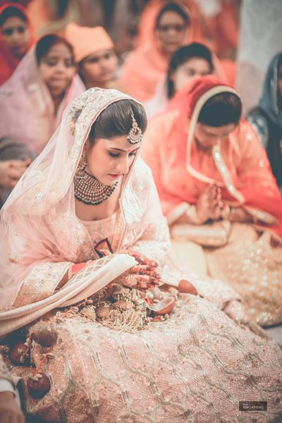 Album in City Lucknow