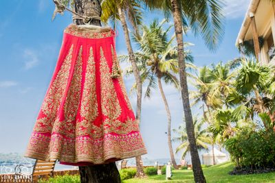 Album in City Goa