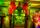 vendorImage1