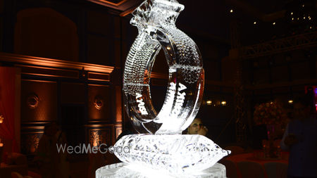 Album in City Shot in Delhi NCR