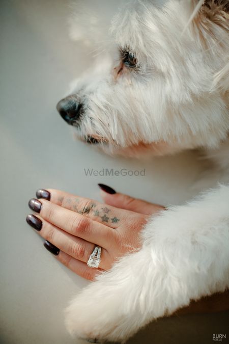 Cute engagement ring shot with brides dog