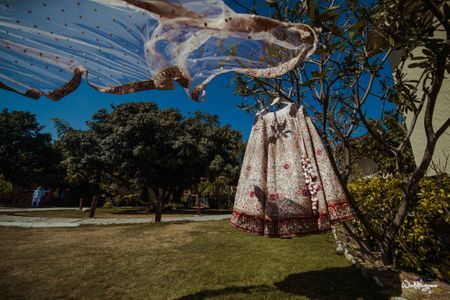 Photo of bridal lehenga and dupatta in white on hanger on a tree