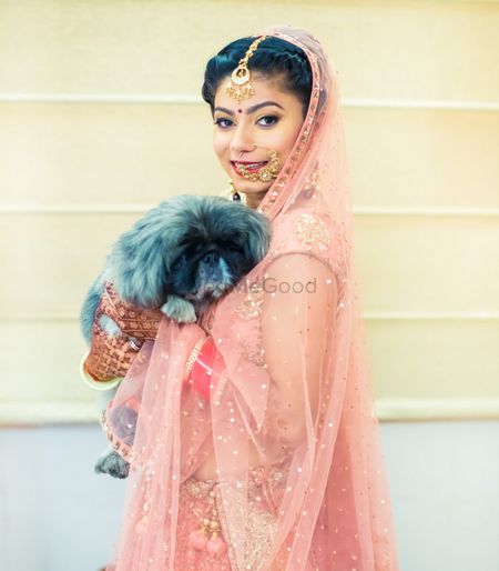 Indian bride posing with pug