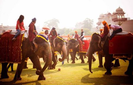 Photo of Elephant polo match for mehendi