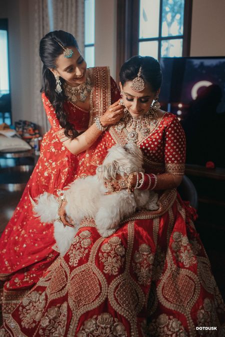 Photo of Bride with a dog