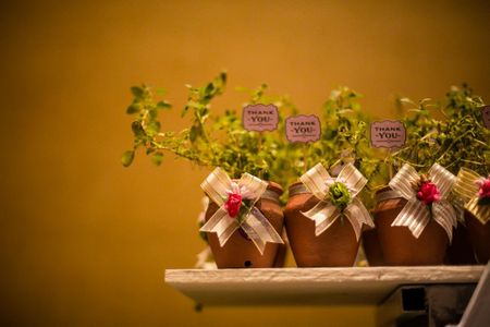 Wedding favour thank you gift plants with note